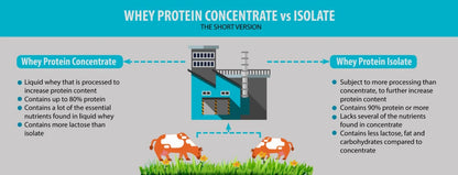 Clean Whey Isolate, (with colostrum), Chocolate (800g)